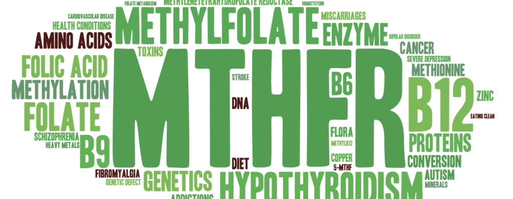 methylation