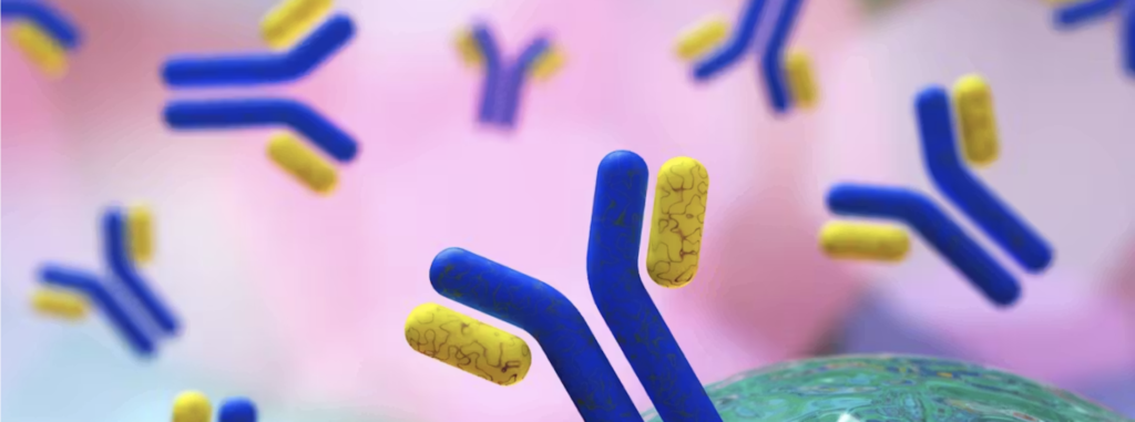 Immune Function & Health