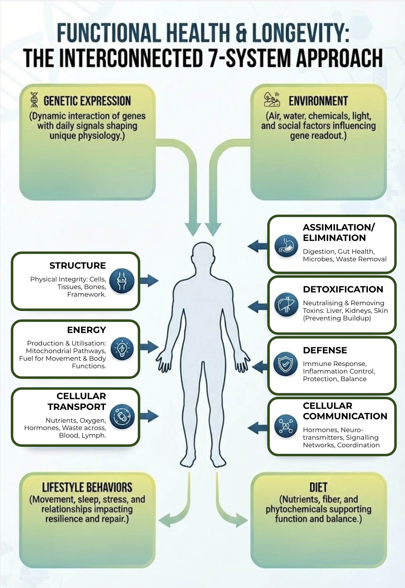 Function Health 7 System Approach | Mathew Gomes